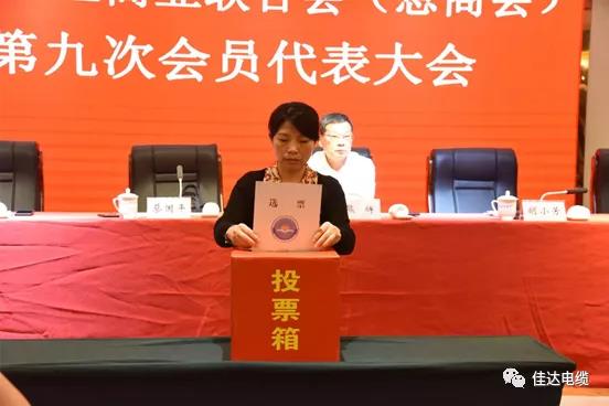 佳達(dá)電纜有限公司,佳達(dá)電纜,湖南佳達(dá)，